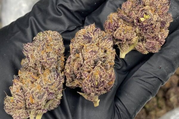 buy weed online