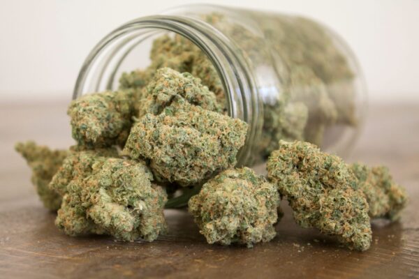 buy weed online